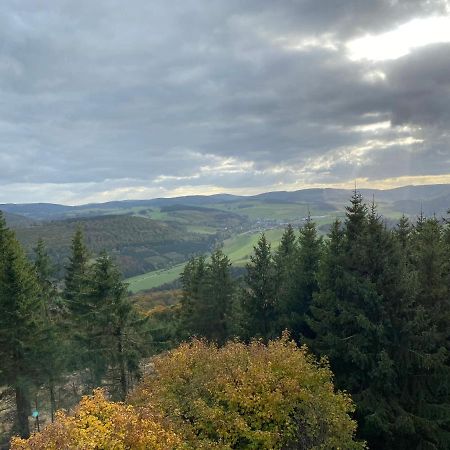 Schoenwald Waldchalet Am Musenberg Stryck Экстерьер фото