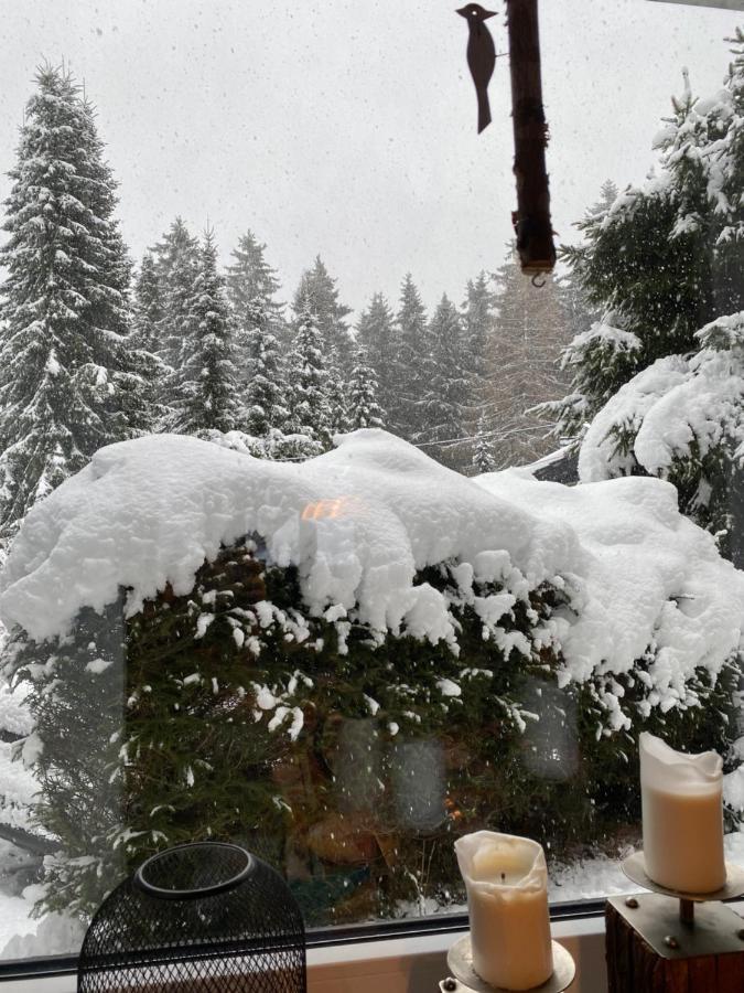 Schoenwald Waldchalet Am Musenberg Stryck Экстерьер фото