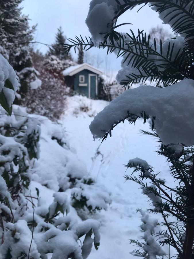 Schoenwald Waldchalet Am Musenberg Stryck Экстерьер фото
