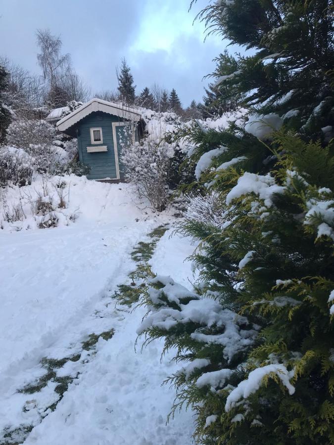 Schoenwald Waldchalet Am Musenberg Stryck Экстерьер фото