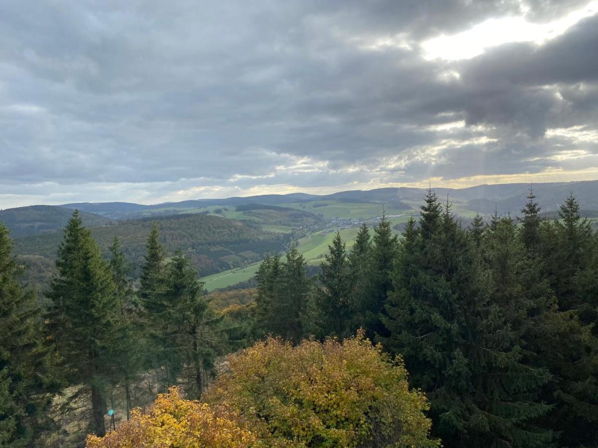 Schoenwald Waldchalet Am Musenberg Stryck Экстерьер фото